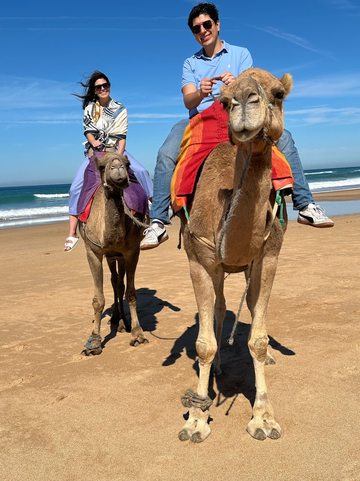 Camel ride on the beach